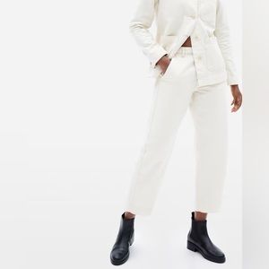 Everlane Arc Canvas Pant in Canvas